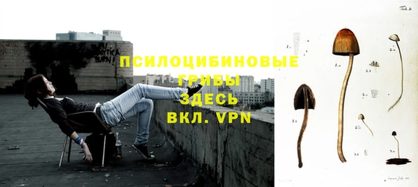 прущий лед Гусев