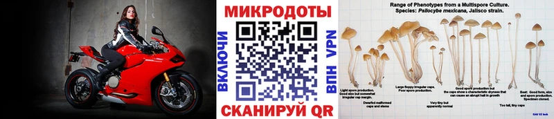 купить   Дедовск  Галлюциногенные грибы MAGIC MUSHROOMS 